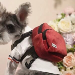 Dog Wedding Ring Bearer Backpack