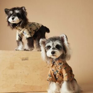 Paw-some Print Short Sleeve Shirt - Dog Summer Essential