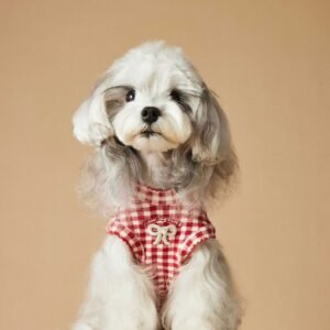 Delicate Sleeveless Red Plaid Dress