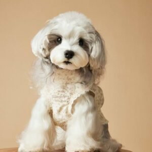 Sleeveless Floral Print Dress in Feminine Style for Dogs