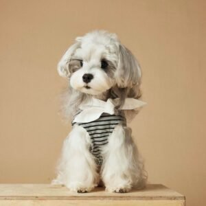 Nautical Striped Dress for Spring-Summer Wear