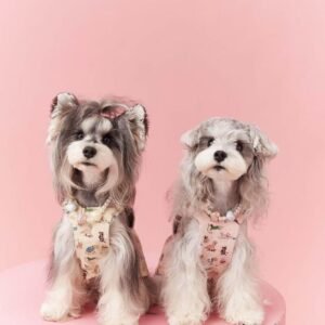 Adorable Puppy Print Pinafore Dress with Leash Attachment