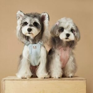 Fresh Spring-Summer Pinafore Dress with Leash Attachment