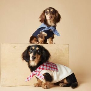 Navy-Inspired Nautical Sleeveless Vest for Spring-Summer