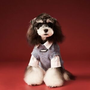 Sleeveless Knit Vest for Autumn-Winter (Excludes Shirt)