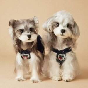 Cherry-Embroidered Pinafore Dress with Leash Attachment for Spring-Summer