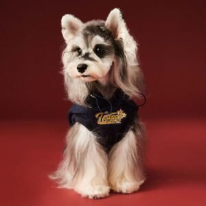 Sleeveless Hooded Fleece Vest for Autumn-Winter (Cold-Weather Edition)