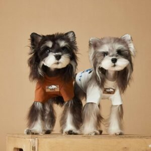 Spring-Summer Short-Sleeve Tee with Playful Prints