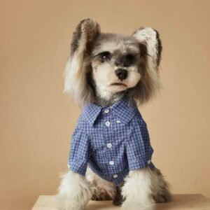 Spring-Summer Blue Checkered Shirt for Layering