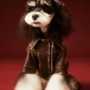 Autumn-Winter Retro Style Dog Biker Jacket