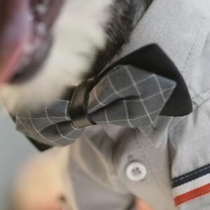 Tuxedo-Style Pet Bow Tie - Adjustable Collar