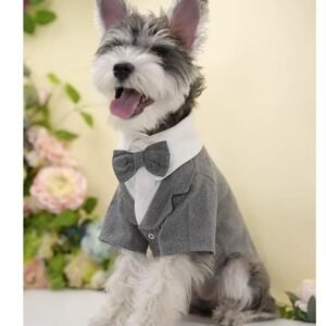 British-Style Grey One-Piece Tailcoat Suit